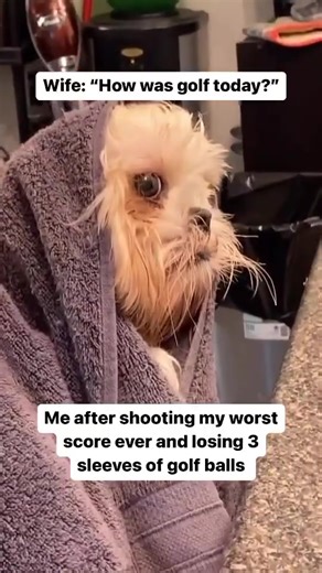 Relatable Moments in Golf