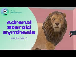 Adrenal Steroid Synthesis Pathway (Mnemonic)