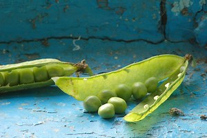 What Are The Characteristics Of A Pea Plant? - Garden Guides