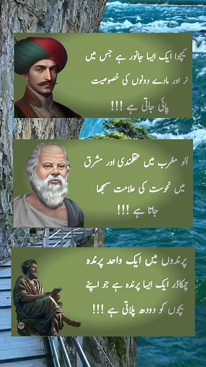 #Urdu #daily #unique #data #quotes #desi #tebi #info | Abr unique info