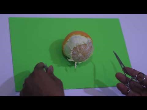 Dissection Techniques in surgery 2