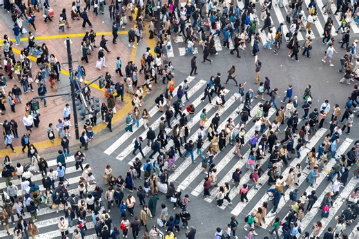 New study reveals startling impact of human development: 'We are facing the sixth mass extinction'