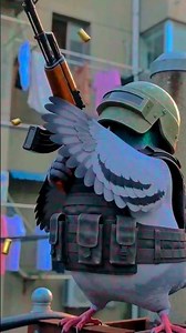 ওই তো একটা কবুতর দেখা যাচ্ছে 😭😭 #song #foryou #tending #for #funnyvideo