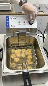 Which electric deep fryer is best and worth buying?