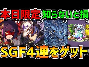【本日限定】アンケートSGF4連ゲットのチャンス！クロトビを絶対にゲットしよう！【パズドラ】
