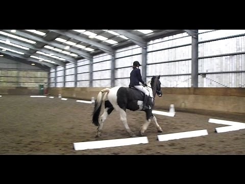 Prelim 18 Dressage Test