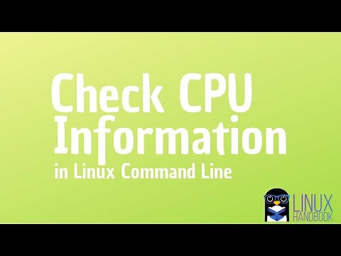 How to Check CPU info in Linux Command Line