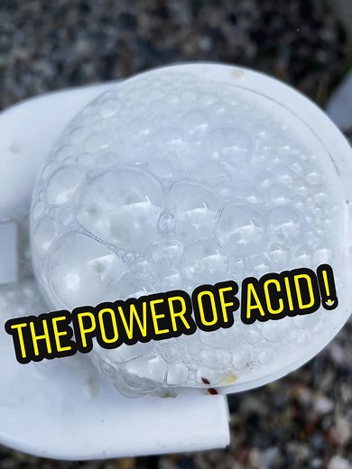 Hayward Salt Cell Cleaning Guide