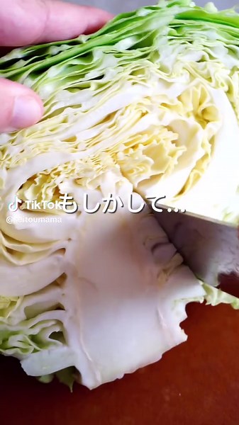 キャベツの栄養と冷凍保存のコツ