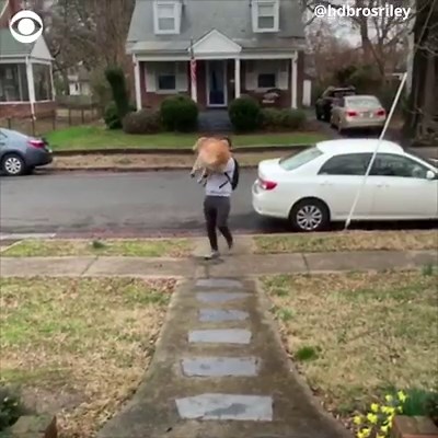 When the love of your life comes home after a long day... https://cbsn.ws/2F9kota | CBS News