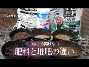 [It's too late to ask now] The difference between fertilizer and compost