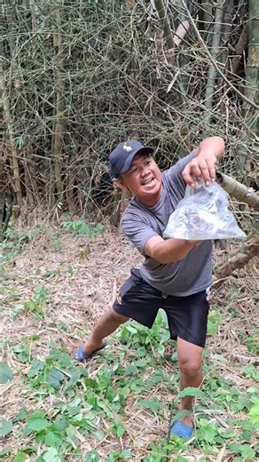 safe ways to catch agile animals #shortvideo