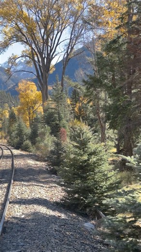 Go cart on railroad tracks through the San Juans! #railroads_of_the_usa #railroadlife #railroad #coloradoadventures #railfanning #railfan #trb_rural #colorado #backroads #backroadstravel #VisitDurango #choosemountains #skyporn #coloradoskies #DurangoTrain #trainspotting #railfans_of_instagram #Coloradobound #durango #trains_worldwide #railways_of_america #train_chasers #coloradocameraclub #railway #rail_barons #colorfulcolorado #rsa_theyards #pocket_rail #daily_crossing #trb_express | Big Diehl 