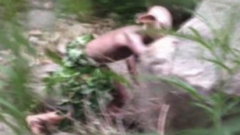 10 Scary Creatures Finally Caught On Camera—See Now