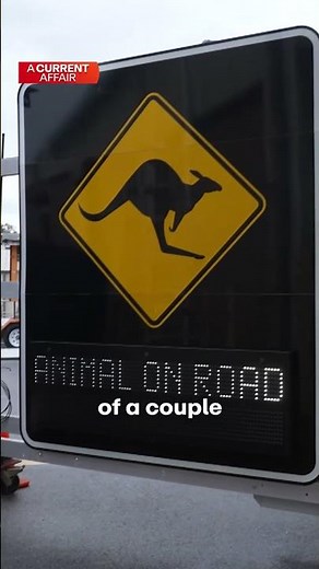 Keeping animals and drivers safe on the road | A Current Affair