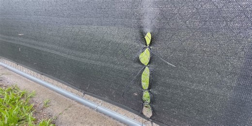 Franklin County Inmate Caught After Escaping Through Hole in Fence