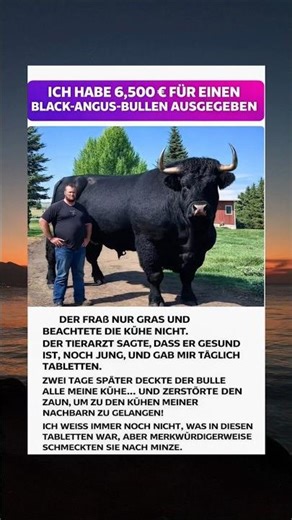 🔥 Der Black Angus Bulle für 6.500$… Was dann passierte, ist unglaublich!