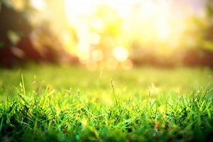 Seattle weather forecast: Mainly sunny - The Weather Network
