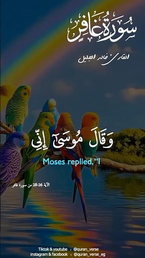 Alquran Kareem😟 - Listen and Learn the Holy Quran with Translation and Recitation