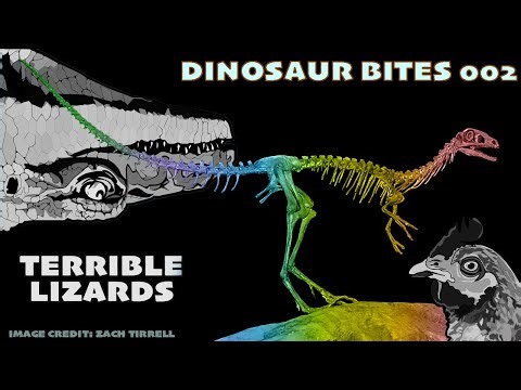 Colour and Compsognathus Bites