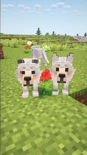 Minecraft's BEST Resource Packs