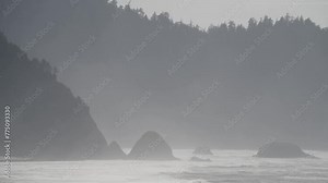 Fog over the rugged, forested shoreline at Oswald West State Park