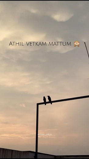 𝐊𝐚𝐯𝐢💎👀 on Instagram: "Vetkam mattum kilichi pooten🙈🎀💗 . . . #togetherforever #meandhim #trendingsongs #trending #asthetic #loveforhim #fyp #ardourcutzz #tamilsong #love #hey #sandakara #instalike #instagram #instagood"