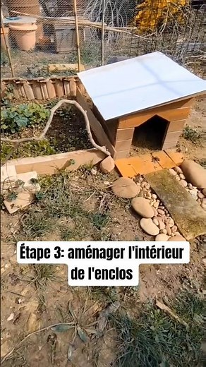 Fabrication d'un enclos pour tortues terrestres (Hermann) Étape 3: aménagement intérieur