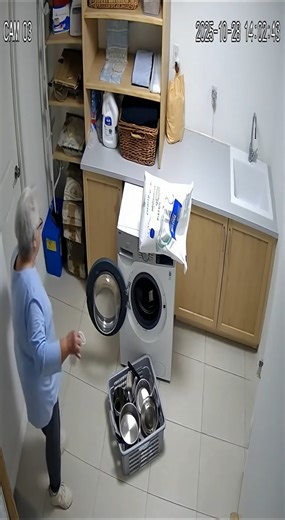 Possessed washing machine attacks elderly woman who screams for help | Laise Muricy
