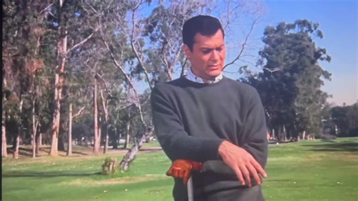 Sex and the single girl (1964)