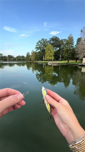 Topwater Lure Speed Clips: How They Add Action