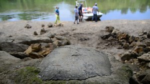 Alabama family finds 32-million-year-old sea turtle fossil: ‘Something I will never forget’