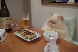 512 - УНИКАЛНО ВИДЕО !