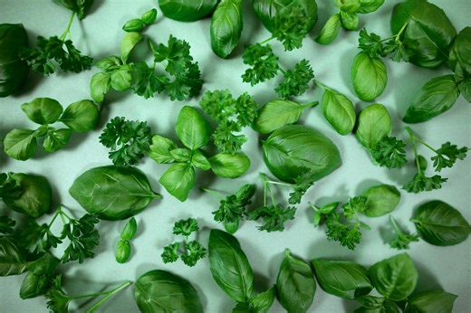7 healthiest herbs to help reduce inflammation and boost heart health, according to dietitians
