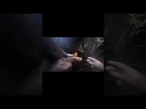 competition coon hunt 2026 hunting woody and spook