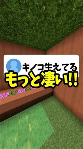 What are the characteristics of introverts whose names start with "ki"? #Minecraft #YotsubaKun #V...