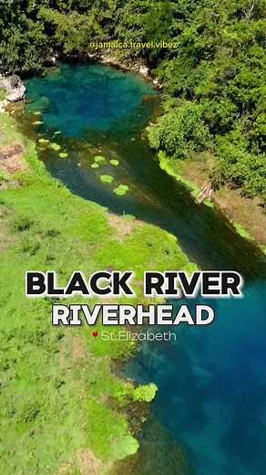 Exploring the Enchanting Black River in St. Elizabeth, Jamaica