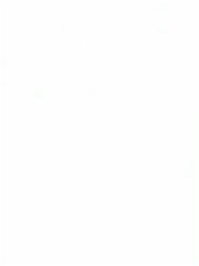 Transform Writing Skills with Sank Calligraphy Magic Books