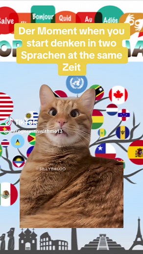 Deutsches Eck on TikTok