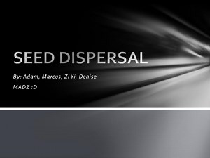 PPT - SEED DISPERSAL PowerPoint Presentation, free download - ID:4239899