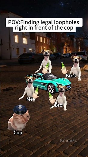 CAT MEMES🐱Finding legal loopholes right in front of the cop #catmemes #memes #funnymemes #funny