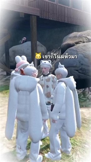 โลมาปีโป้ อวตารสีฟ้าหรือสีชมพู?