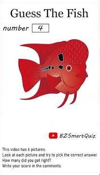 Guess the Fish in 5 Seconds| 6 Different Types of Fishs #education #fish #quiz #bzsmartquiz