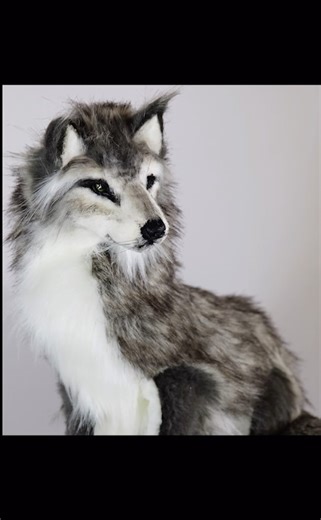 Wolf commission artdoll! #wolf #fauxtaxidermy #artdoll #artistsofinstagram #poseableartdoll #artdollmaker #ooakdoll #dollartist #bjd #balljointeddoll | Creatures of Nat
