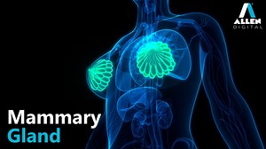 28 reactions | Learn about the structure of the mammary gland and the...