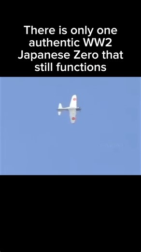 Only one authentic WW2 Japanese Zero fighter still functions #history