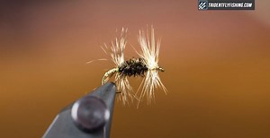 How to Tie a Renegade Dry Fly