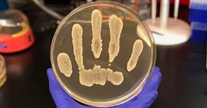 10 Types Of Bacteria With Real Superpowers