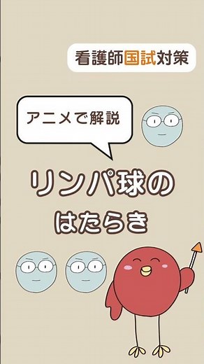 【50秒アニメで解説】リンパ球のはたらき #shorts #看護師国家試験 #勉強