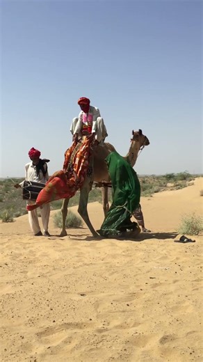 احتفال زفاف رائع على رمال صحراء ثار: تقاليد عريقة، وزينة من الجمال، وحب المارواريين.